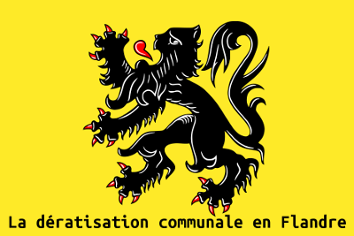Dératisation communale en Flandre AlloMouss Désinfection