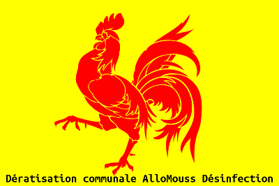 Dératisation communale en Wallonie AlloMouss Désinfection